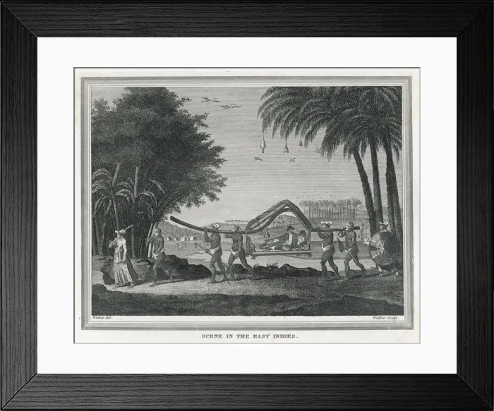Framed Print : Indonesian Palanquin Framed Print : Indonesian Palanquin