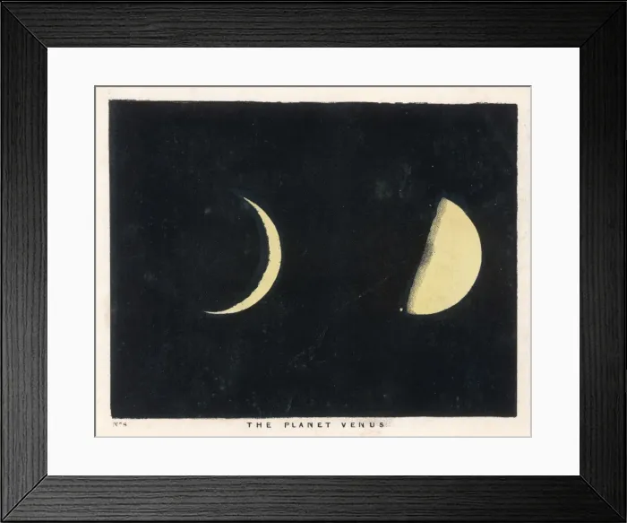 Framed Print : Blunt / Venus / Plate 8 Framed Print : Blunt / Venus / Plate 8