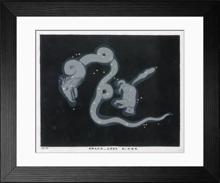 Framed Print : Blunt / Ursa Minor / Pl 25 Framed Print : Blunt / Ursa Minor / Pl 25