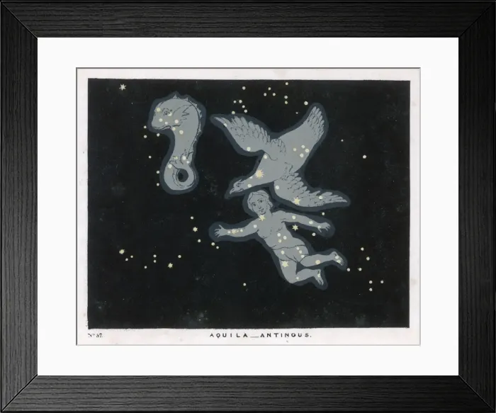 Framed Print : Blunt / Aquila / Antinous / 37 Framed Print : Blunt / Aquila / Antinous / 37