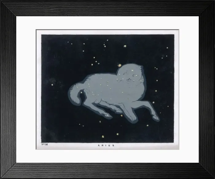 Framed Print : Blunt / Ursa Major / Pl 24 Framed Print : Blunt / Ursa Major / Pl 24