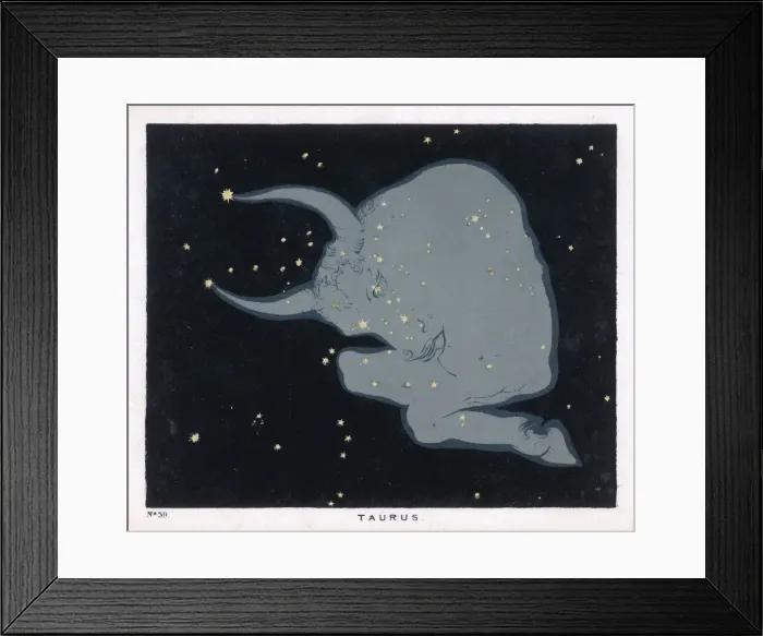 Framed Print : Blunt / Taurus / Plate 39 Framed Print : Blunt / Taurus / Plate 39