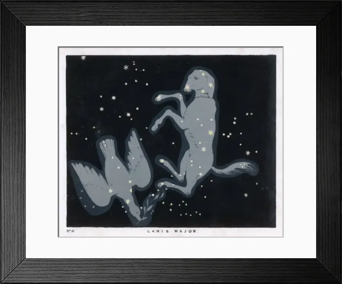 Framed Print : Blunt / Canis Major / Pl 51 Framed Print : Blunt / Canis Major / Pl 51