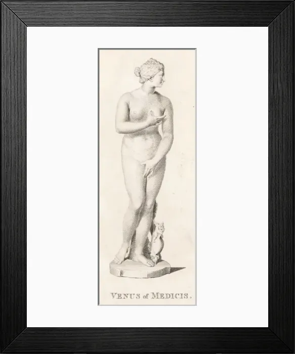 Framed Print : Aphrodite / Volpato Framed Print : Aphrodite / Volpato