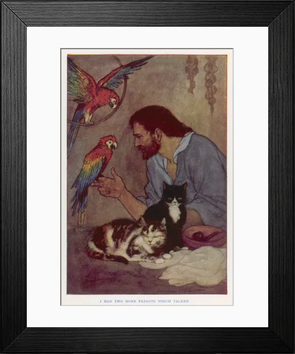 Framed Print : Crusoe, Parrots, Cats Framed Print : Crusoe, Parrots, Cats
