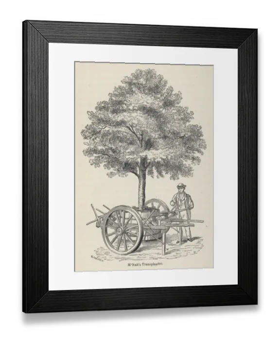 Framed Print : McNabs tree transplanter, as used in Edinburgh Framed Print : McNabs tree transplanter, as used in Edinburgh
