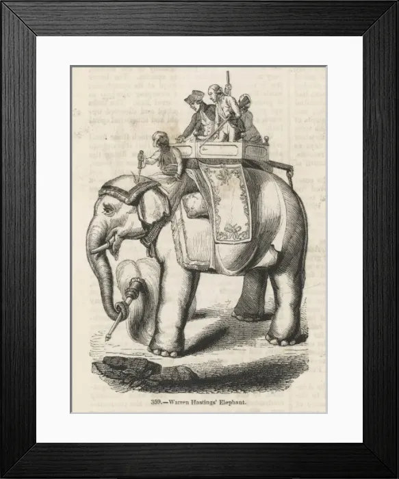 Framed Print : Hastings Elephant Framed Print : Hastings Elephant