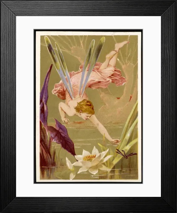Framed Print : Fairy Chases Dragonfly Framed Print : Fairy Chases Dragonfly