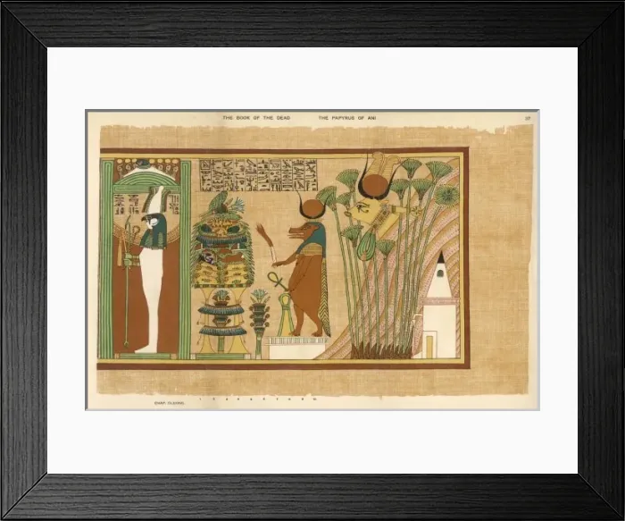 Framed Print : Book of the Dead / 37 Framed Print : Book of the Dead / 37