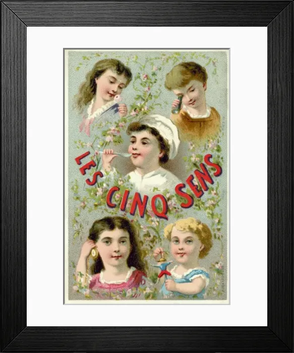 Framed Print : The Five Senses Framed Print : The Five Senses