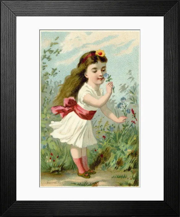 Framed Print : The Senses - Smell Framed Print : The Senses - Smell