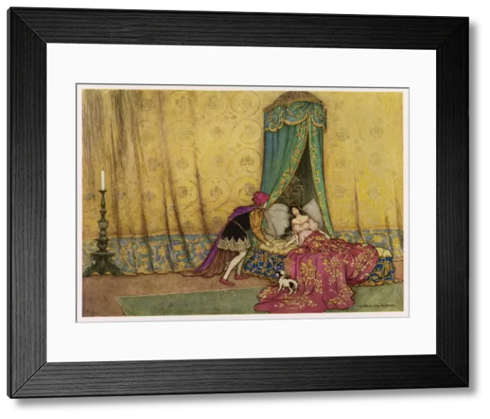 Framed Print : Sleeping Beauty Framed Print : Sleeping Beauty