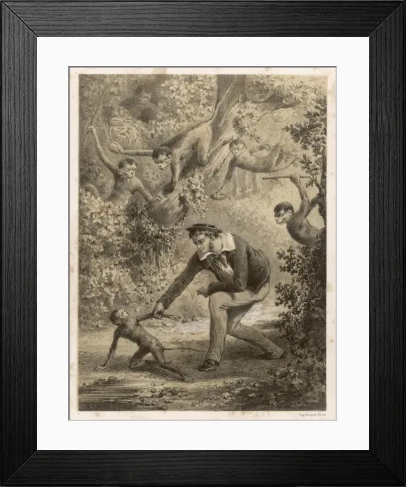 Framed Print : Wild Monkey Captured Framed Print : Wild Monkey Captured