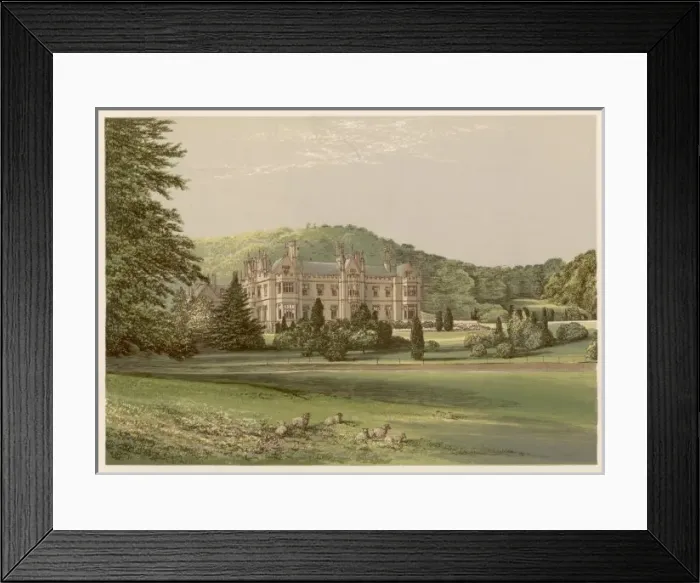 Framed Print : Mamhead, Devon Framed Print : Mamhead, Devon