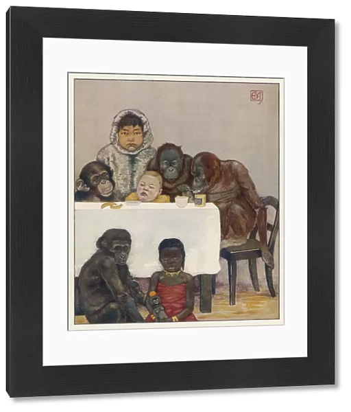 A Group of Primates