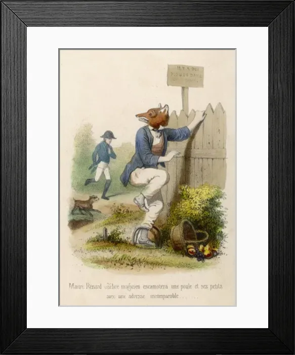 Framed Print : Fox in a Trap Framed Print : Fox in a Trap