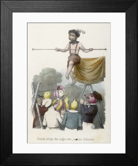 Framed Print : Monkeys Agility Framed Print : Monkeys Agility