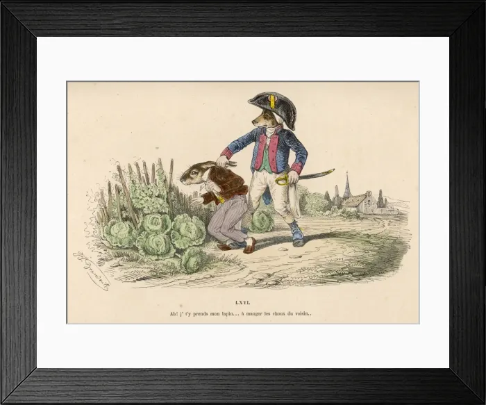 Framed Print : Salad Stealer Nabbed Framed Print : Salad Stealer Nabbed