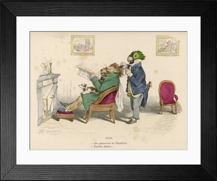 Framed Print : Parrot and Lion Framed Print : Parrot and Lion