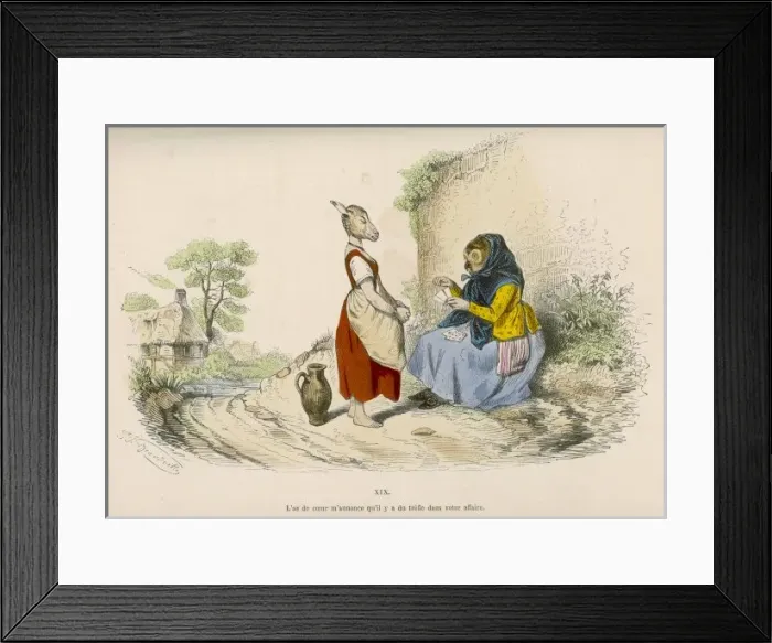 Framed Print : Owl Fortune Teller Framed Print : Owl Fortune Teller