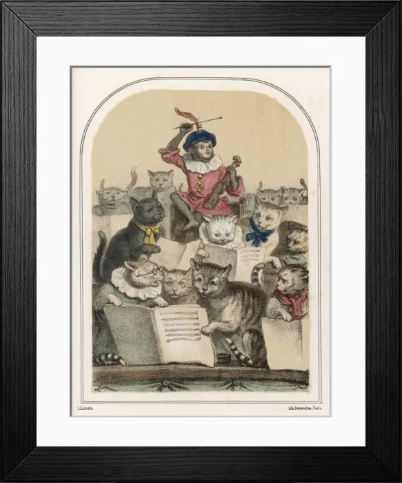Framed Print : Concert Des Chats Framed Print : Concert Des Chats