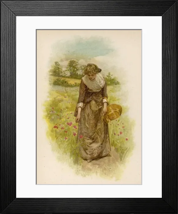 Framed Print : Woman Picking Poppies Framed Print : Woman Picking Poppies