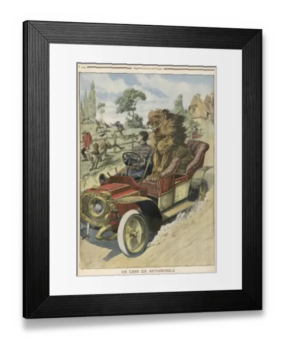 Framed Print : Lion in Passenger Seat Framed Print : Lion in Passenger Seat