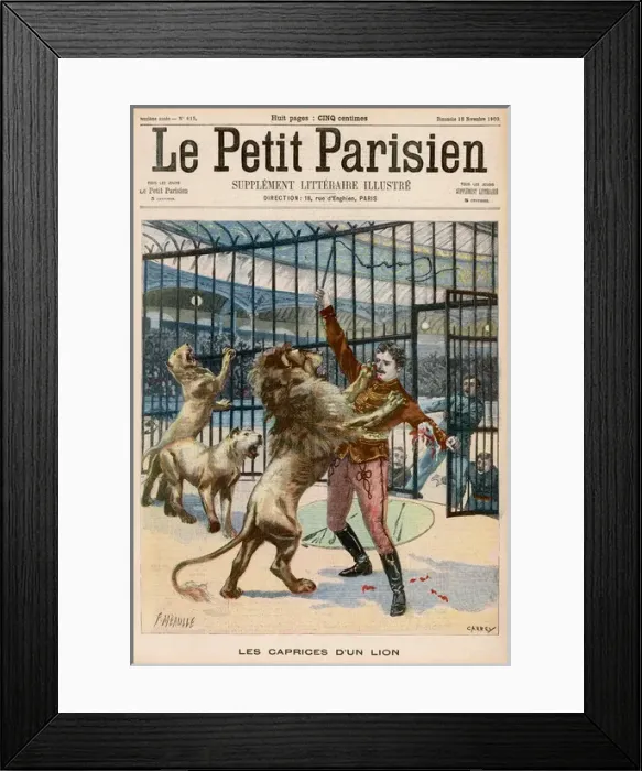 Framed Print : Angry Cubless Lion Framed Print : Angry Cubless Lion