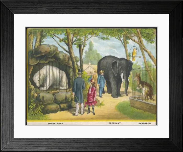 Framed Print : Elephants and Kangaroos Framed Print : Elephants and Kangaroos