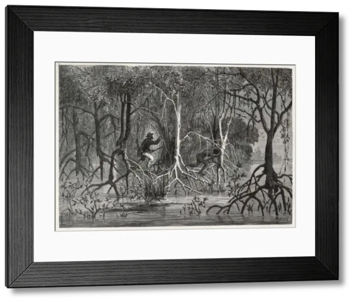 Framed Print : Scene in New Caledonia Framed Print : Scene in New Caledonia