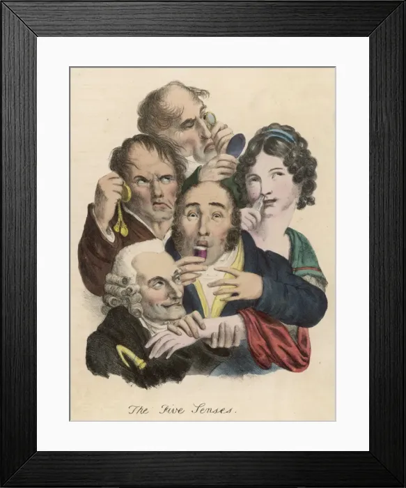 Framed Print : The Five Senses Framed Print : The Five Senses