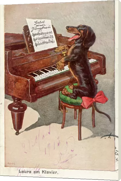 Dachshund and Piano