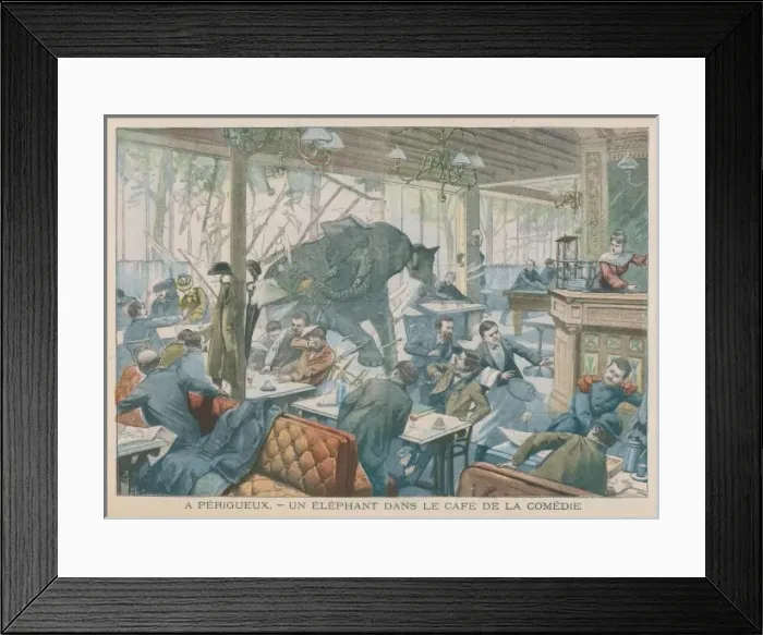 Framed Print : Elephant / Cafe 1905 Framed Print : Elephant / Cafe 1905