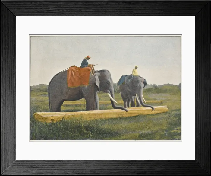 Framed Print : Elephants Working 1890S Framed Print : Elephants Working 1890S