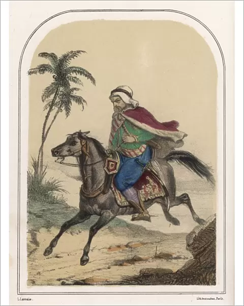 Riding Arab Horse C1850