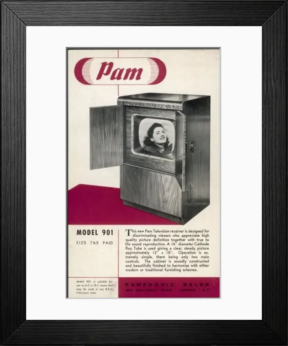 Framed Print : Pam Television Set Framed Print : Pam Television Set