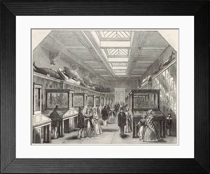 Framed Print : Brit Mus Coral Room Framed Print : Brit Mus Coral Room
