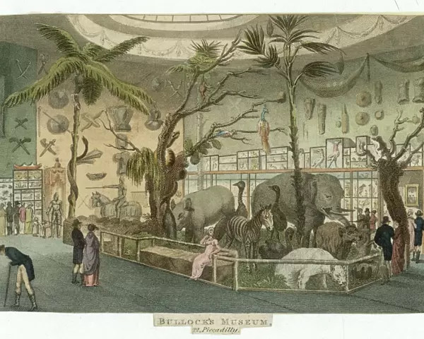 BULLOCKs MUSEUM 1811