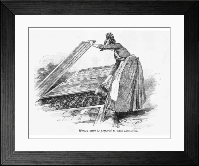 Framed Print : Watering Plants Framed Print : Watering Plants