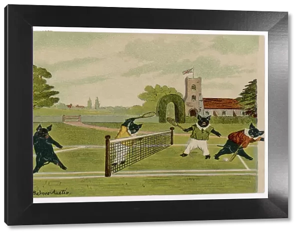 Pigs Playing Tennis 1904