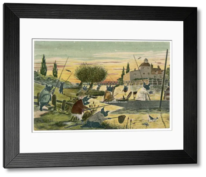 Framed Print : Pigs Water Activities Framed Print : Pigs Water Activities