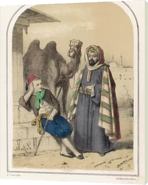 Wise Camel Lassalle 19C