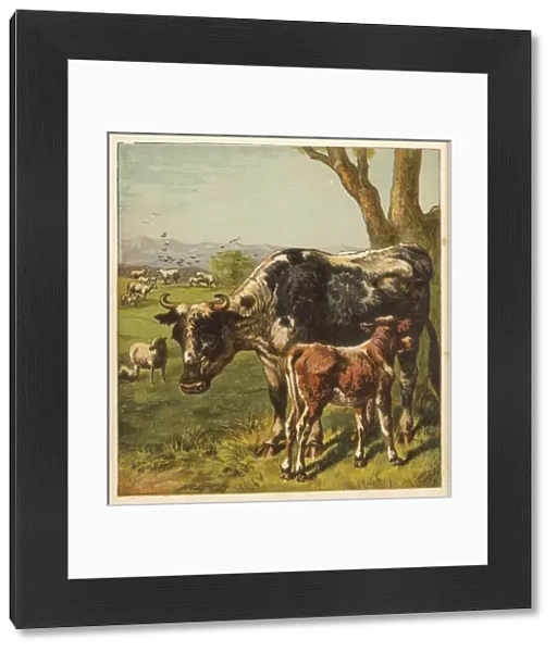 Cattle in Field C1860S