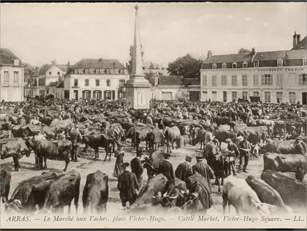 Arras Cattle Market 1905