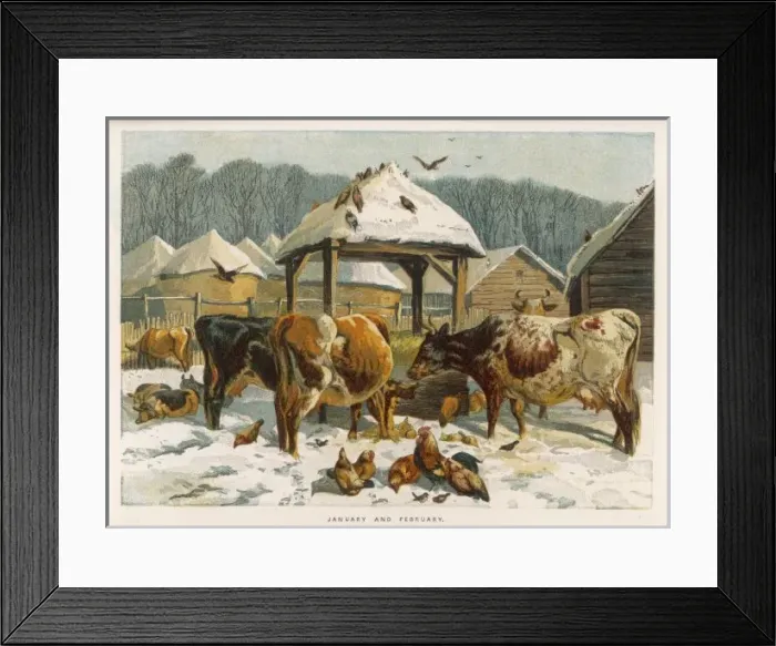 Framed Print : Cattle in Winter 1862 Framed Print : Cattle in Winter 1862
