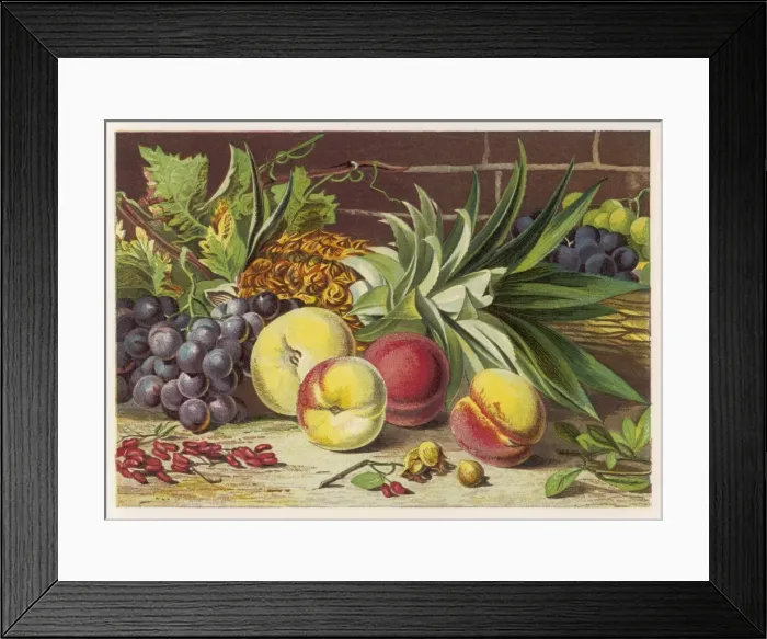 Framed Print : Fruit / Peaches Grapes Etc Framed Print : Fruit / Peaches Grapes Etc