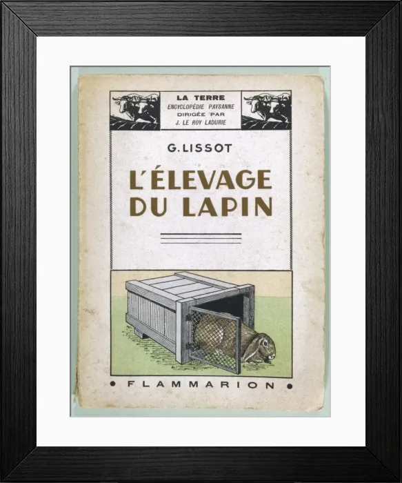 Framed Print : Rabbit Care Handbook Framed Print : Rabbit Care Handbook