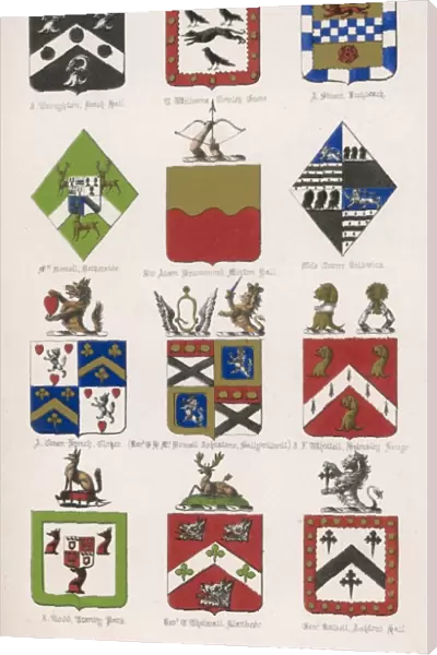 Family Coats of Arms 15