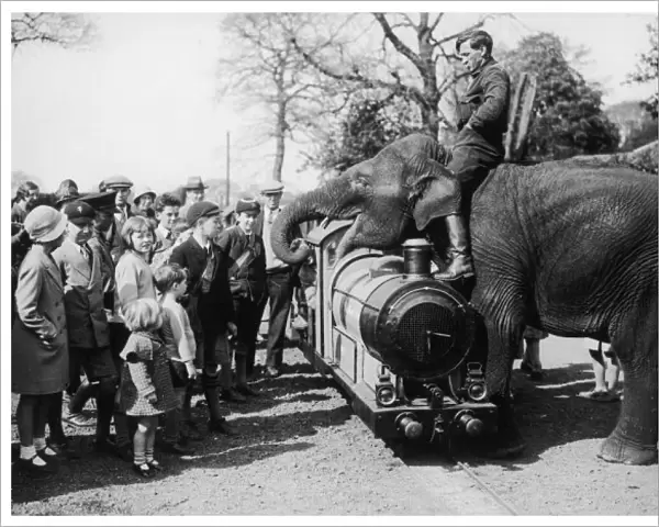 Elephant & Children