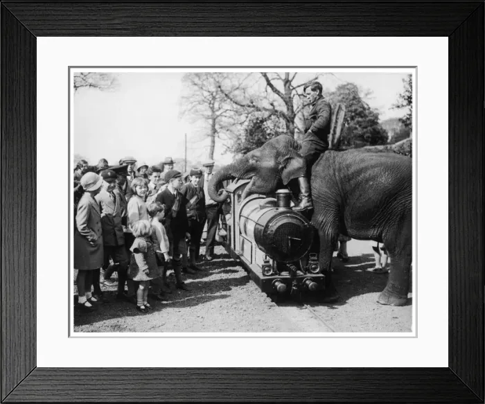Framed Print : Elephant & Children Framed Print : Elephant & Children